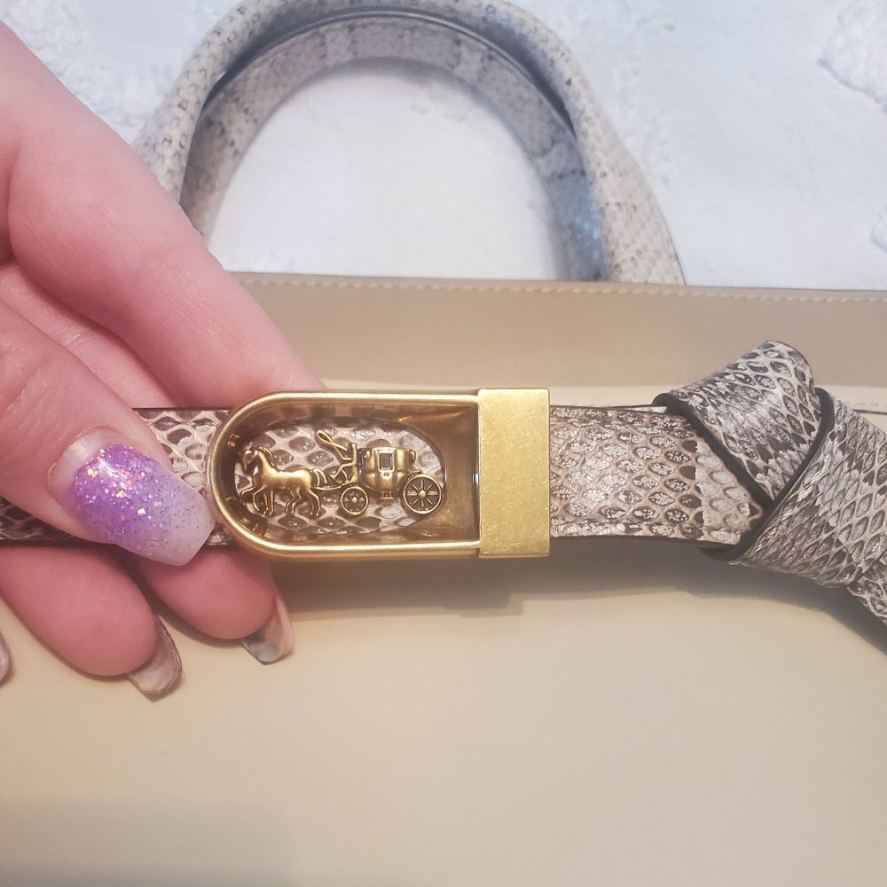 Coach RETAIL Exotic Python Tate Carryall 29 with Snakeskin - Picture 11 of 15